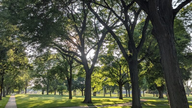 Nash Park - Milwaukee, WI