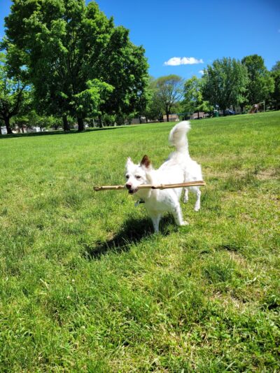 Nash Park - Milwaukee, WI
