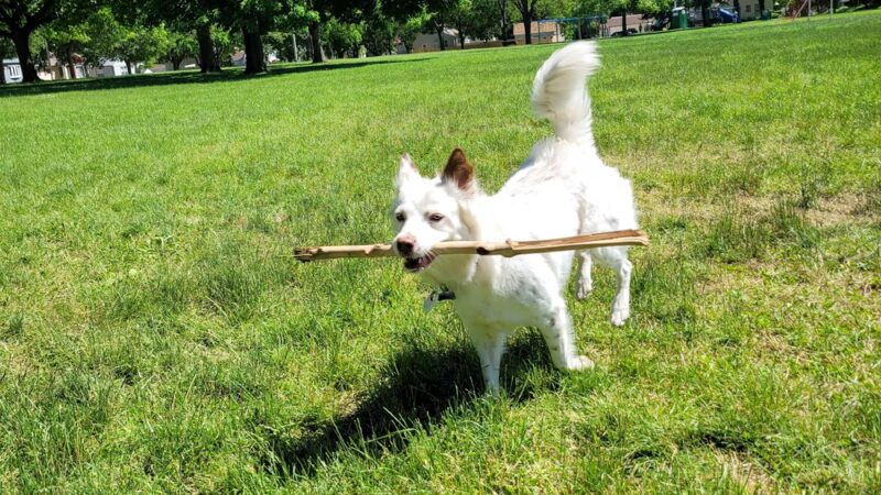 Nash Park - Milwaukee, WI