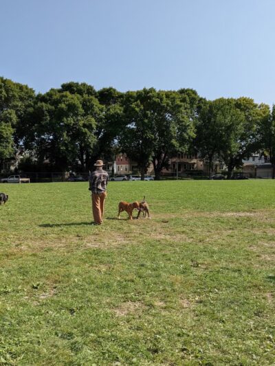 Roverwest Dog Park - Milwaukee, WI