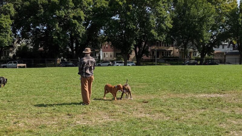 Roverwest Dog Park - Milwaukee, WI