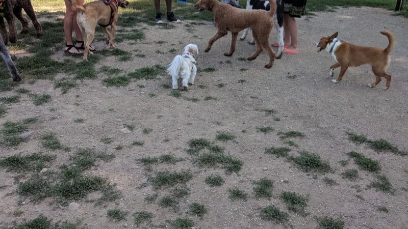 Roverwest Dog Park - Milwaukee, WI