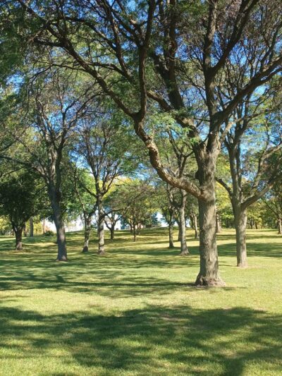 Washington Park - Milwaukee, WI