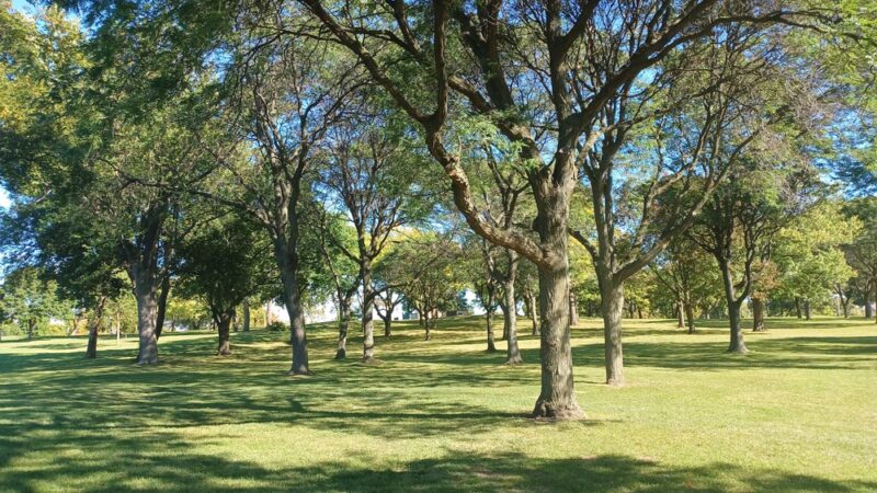 Washington Park - Milwaukee, WI