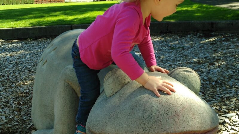 Heddie Notz Park - Milwaukie, OR