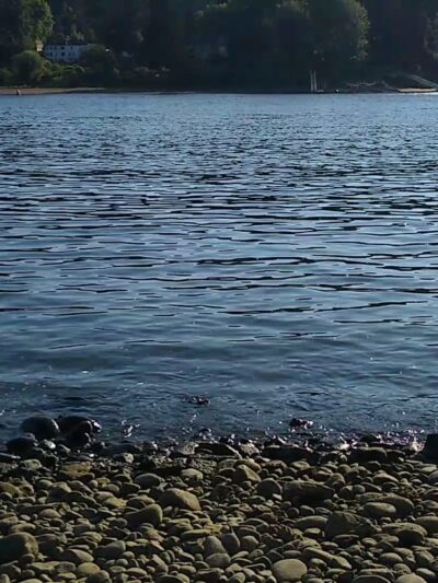 Milwaukie Bay Park - Milwaukie, OR