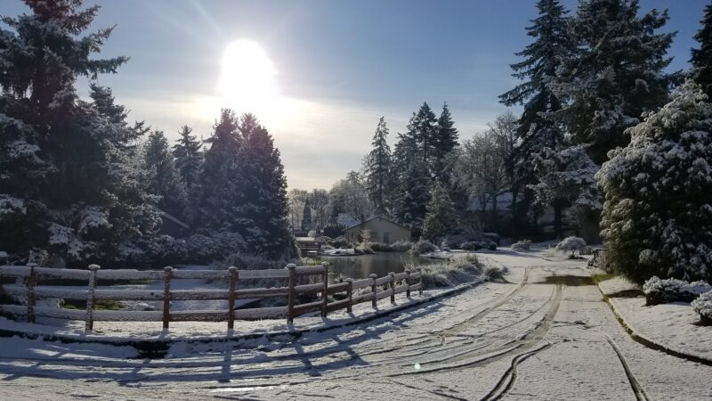 Risley Park - Milwaukie, OR
