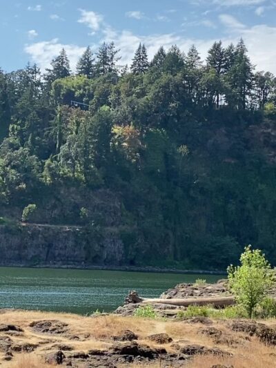 Spring Park Natural Area - Milwaukie, OR