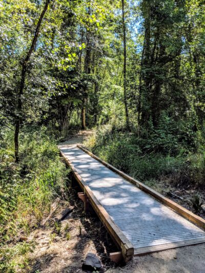 Spring Park Natural Area - Milwaukie, OR