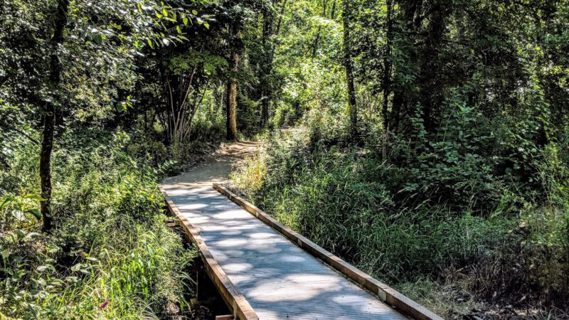 Spring Park Natural Area - Milwaukie, OR