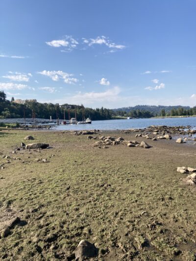 Spring Park Natural Area - Milwaukie, OR