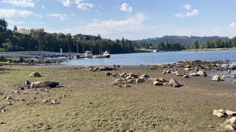 Spring Park Natural Area - Milwaukie, OR
