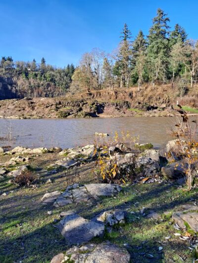 Spring Park Natural Area - Milwaukie, OR