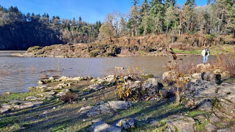 Spring Park Natural Area - Milwaukie, OR