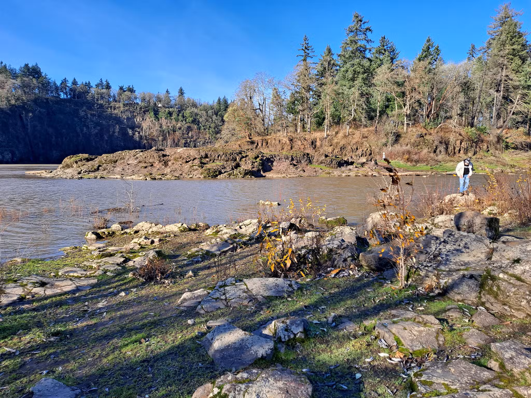Spring Park Natural Area - Milwaukie, OR
