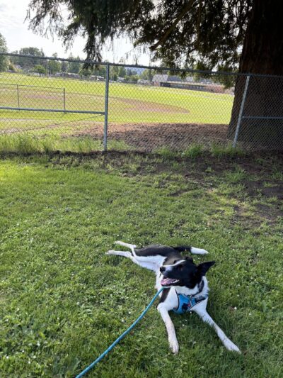 Stanley Park - Milwaukie, OR