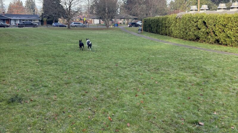 Stanley Park - Milwaukie, OR