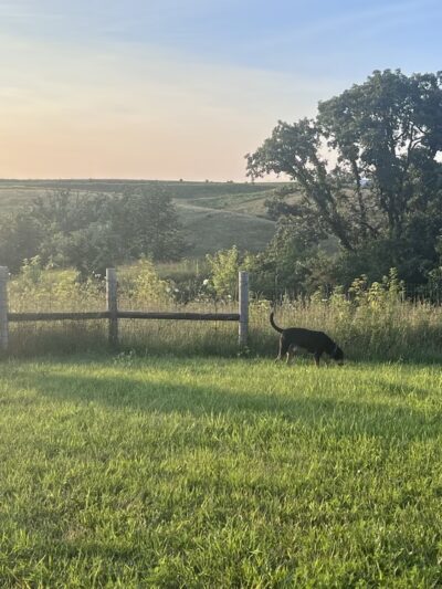 Mineral Point Unleashed Dog Park - Mineral Point, WI