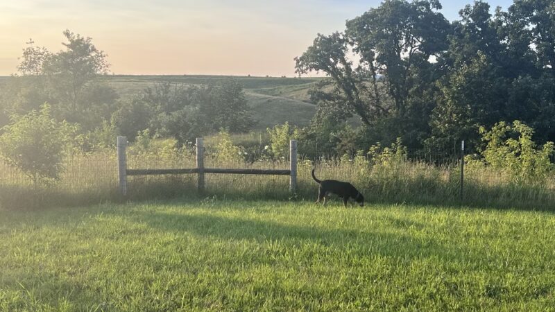 Mineral Point Unleashed Dog Park - Mineral Point, WI