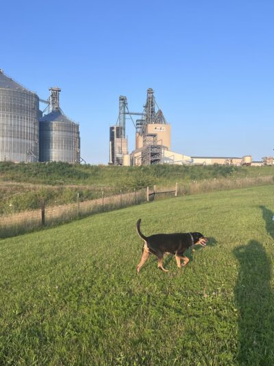 Mineral Point Unleashed Dog Park - Mineral Point, WI
