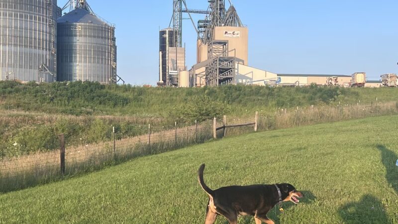 Mineral Point Unleashed Dog Park - Mineral Point, WI