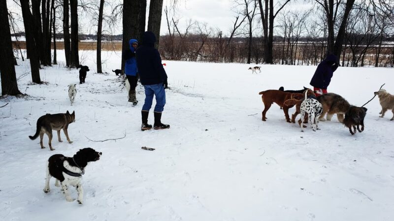 Airport Dog Park 1 - Minneapolis, MN