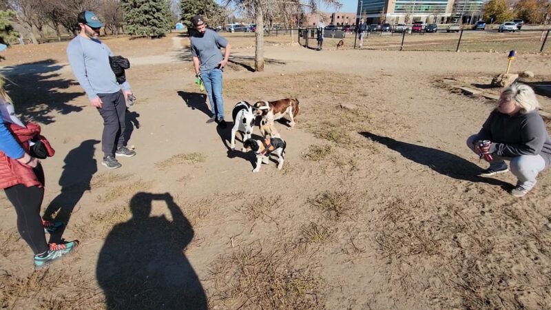 Airport Dog Park 1 - Minneapolis, MN