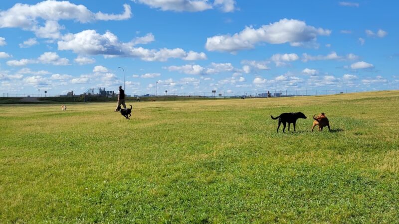 Airport Dog Park 1 - Minneapolis, MN