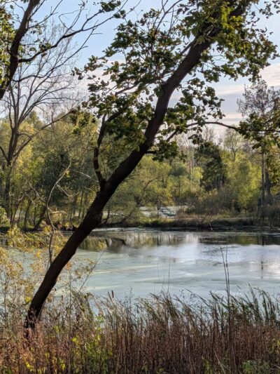 Bredesen Park - Minneapolis, MN