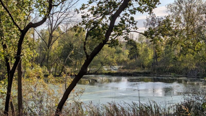 Bredesen Park - Minneapolis, MN