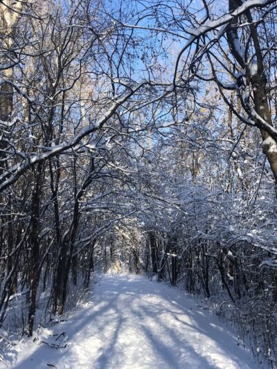 Bredesen Park - Minneapolis, MN
