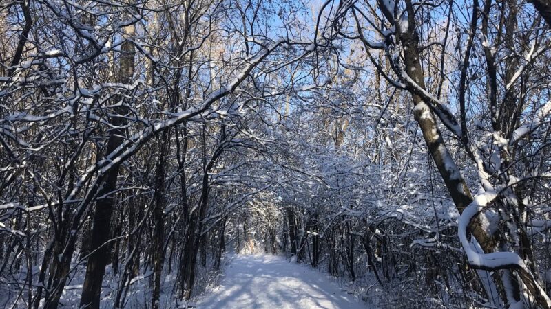 Bredesen Park - Minneapolis, MN