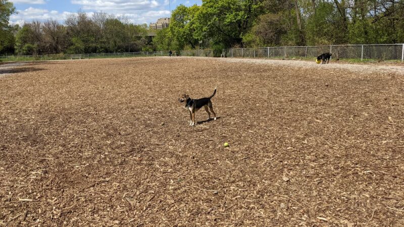 Franklin Terrace Off-Leash Dog Park - Minneapolis, MN