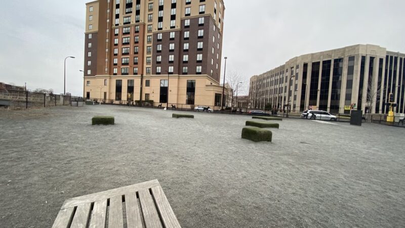 Gateway Dog Park - Minneapolis, MN