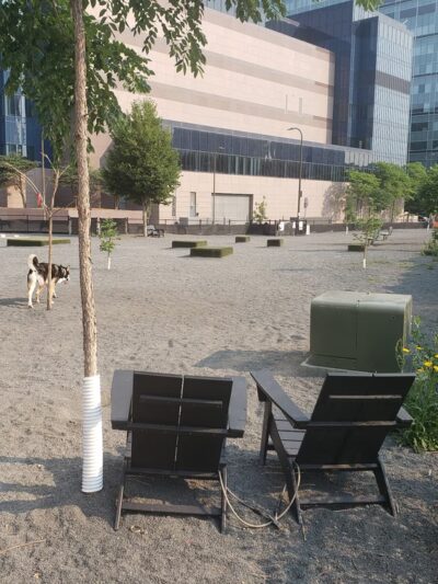 Gateway Dog Park - Minneapolis, MN