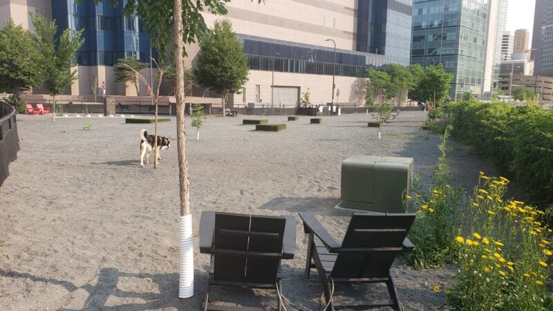 Gateway Dog Park - Minneapolis, MN