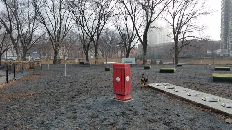 Gateway Dog Park - Minneapolis, MN