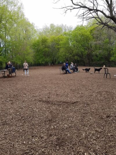 Lake of the Isles Dog Park - Minneapolis, MN