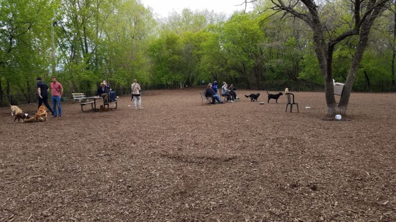 Lake of the Isles Dog Park - Minneapolis, MN