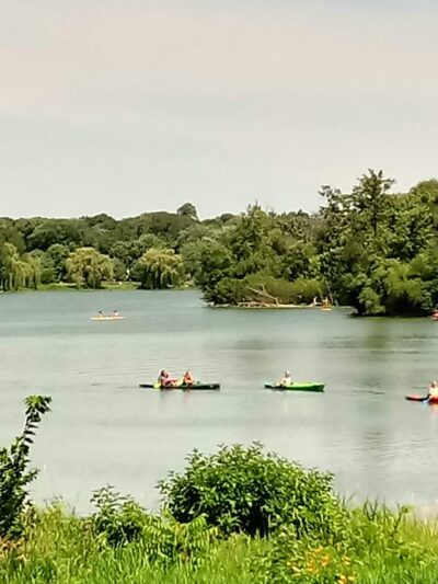 Lake of the Isles Dog Park - Minneapolis, MN