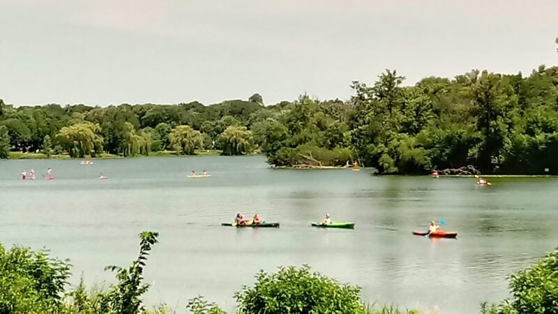 Lake of the Isles Dog Park - Minneapolis, MN