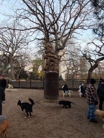Loring Park Dog Park - Minneapolis, MN