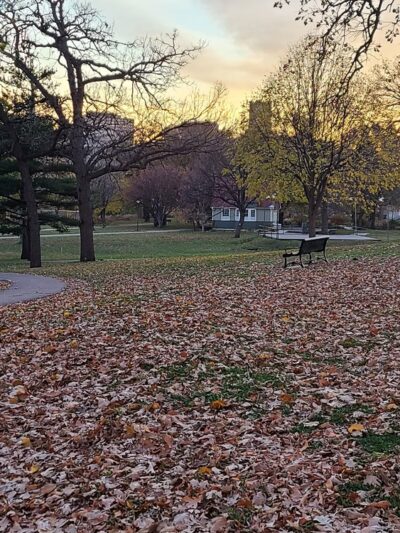 Loring Park Dog Park - Minneapolis, MN