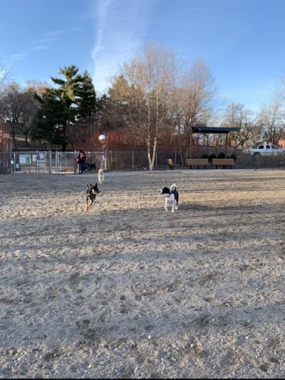 Lyndale Farmstead Dog Park - Minneapolis, MN