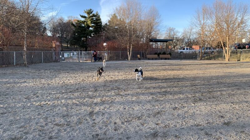 Lyndale Farmstead Dog Park - Minneapolis, MN