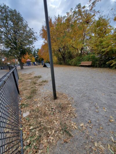 Marcy Park - Minneapolis, MN