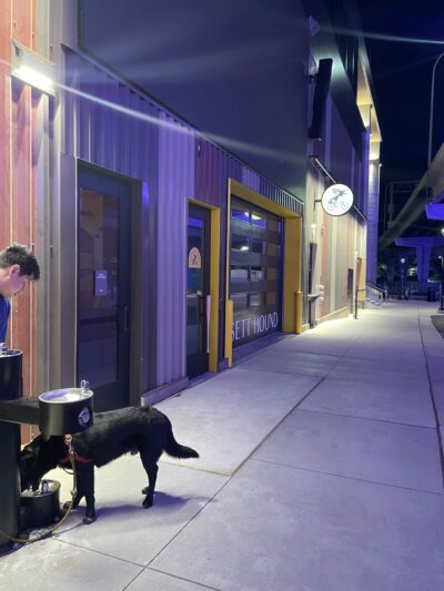 North Loop Green Dog Run - Minneapolis, MN