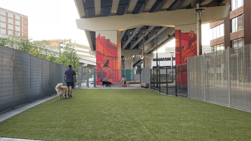 North Loop Green Dog Run - Minneapolis, MN