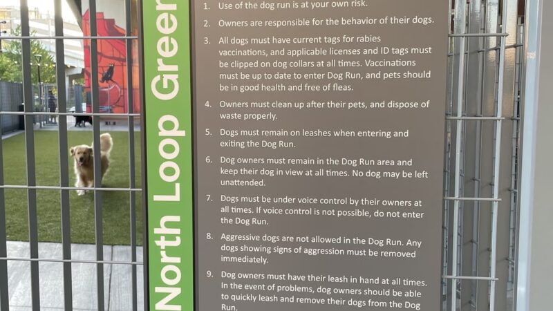 North Loop Green Dog Run - Minneapolis, MN