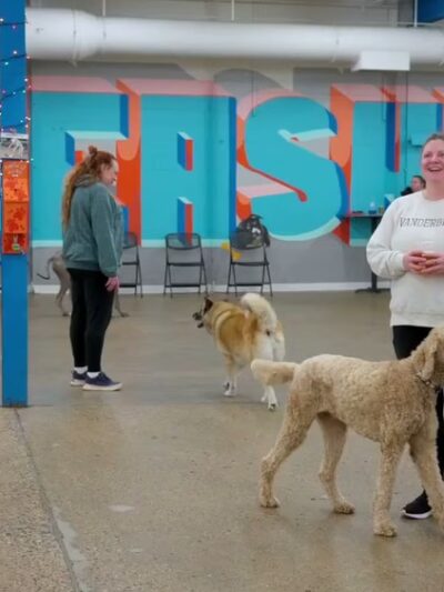 Unleashed Hounds and Hops - Minneapolis, MN